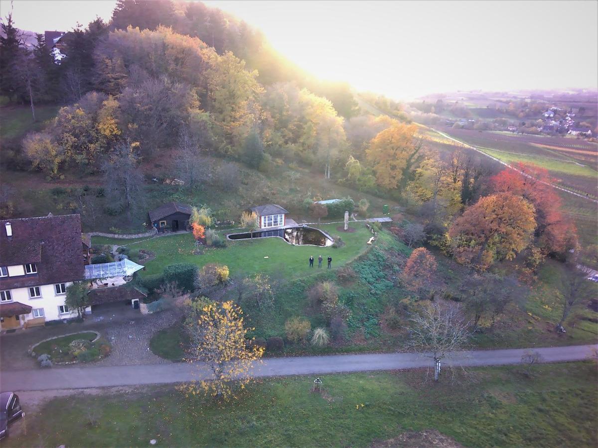 Paradies 2 Castellberg-Jakobsweg Apartment Ballrechten-Dottingen Luaran gambar