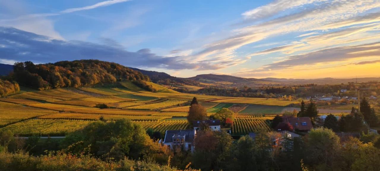 Paradies 2 Castellberg-Jakobsweg Ballrechten-Dottingen Luaran gambar