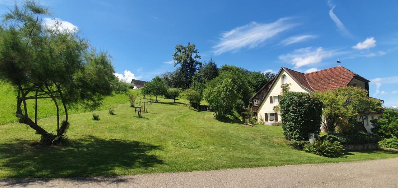 Paradies 2 Castellberg-Jakobsweg Apartment Ballrechten-Dottingen Luaran gambar